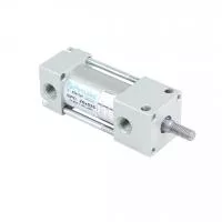 Пневмоцилиндр SPC-20-025-R241024 Pemaks Пневмоцилиндр SPC-20-025-R241024 Pemaks