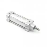 Пневмоцилиндр PST-100-SYA-0300-K1 Pemaks