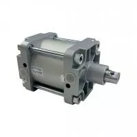 Пневмоцилиндр SPC-160-050-R240409 Pemaks Пневмоцилиндр SPC-160-050-R240409 Pemaks