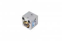 Цилиндр SPC-20-010-R250902